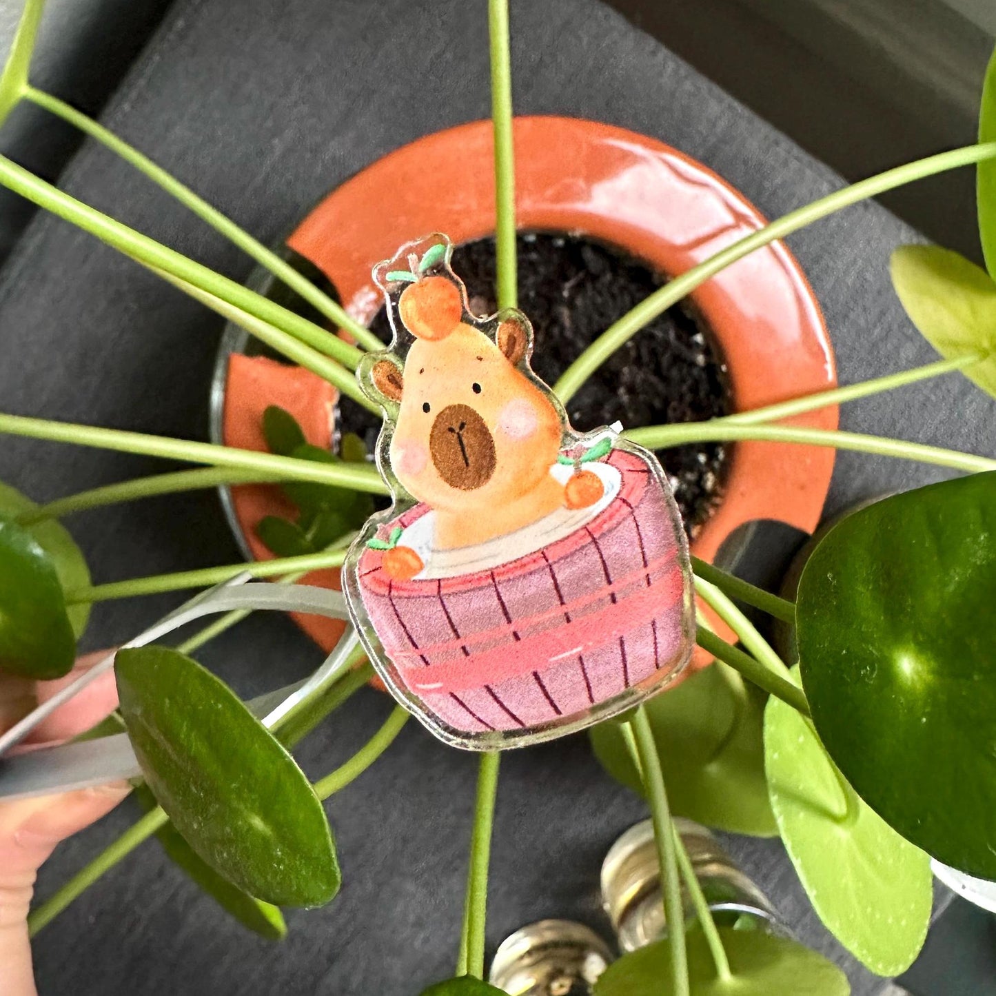 Acrylic Capybara in a Bath Pin